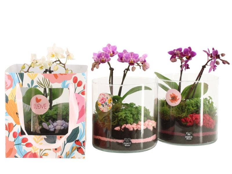 21878: Love arrangement