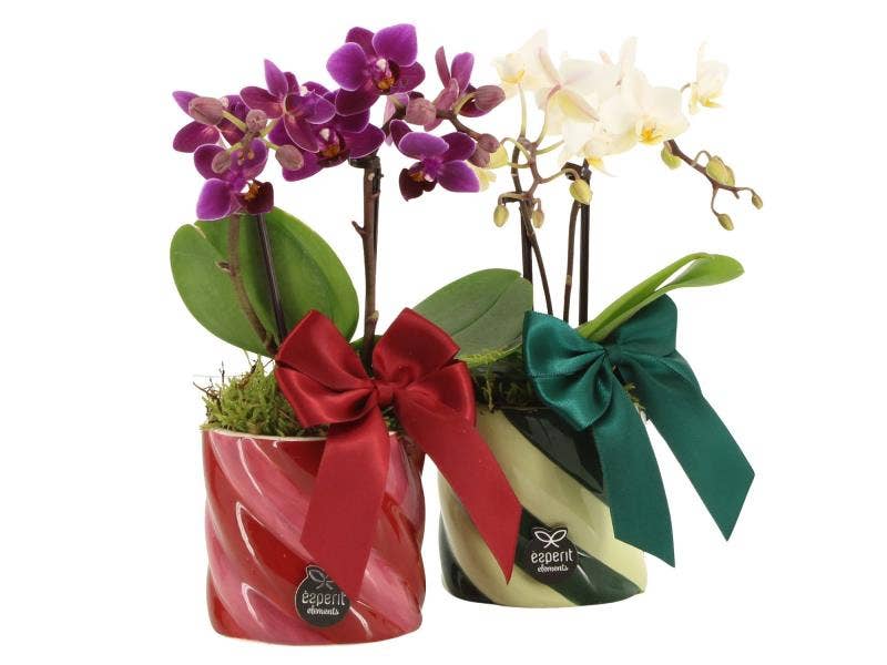 61775: X-mas arrangement