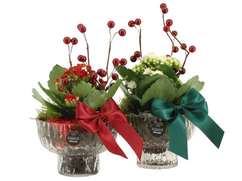 61797: X-mas arrangement