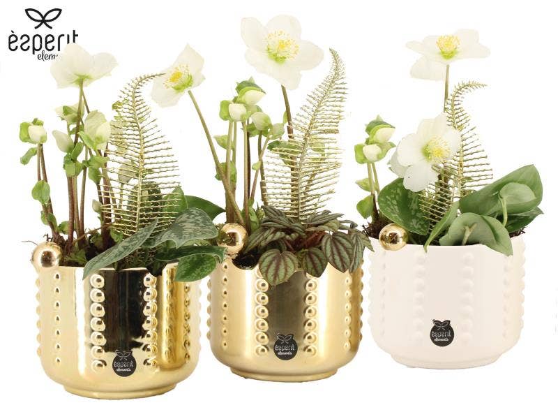 61863: X-mas arrangement