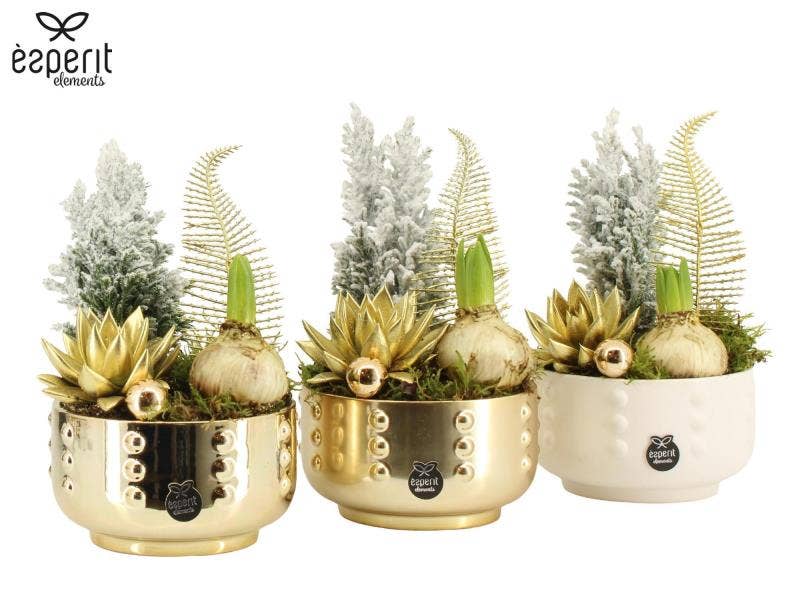 61869: X-mas arrangement