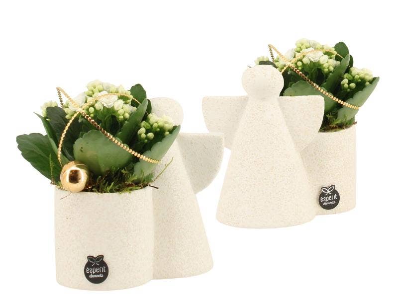 61900: X-mas arrangement