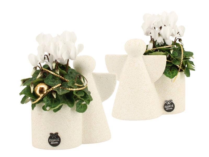 61901: X-mas arrangement