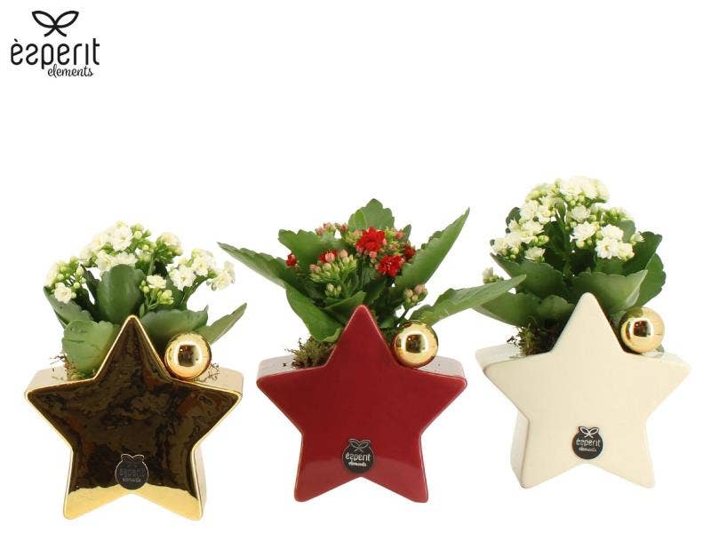 62017: X-mas arrangement