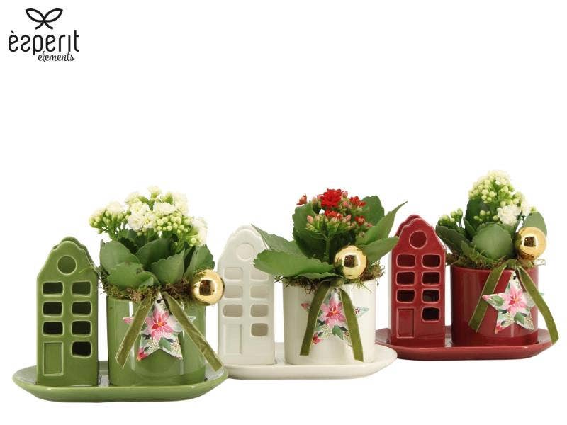 62020: X-mas arrangement