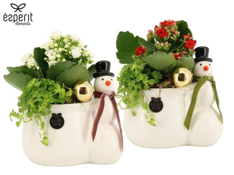 62040: X-mas arrangement