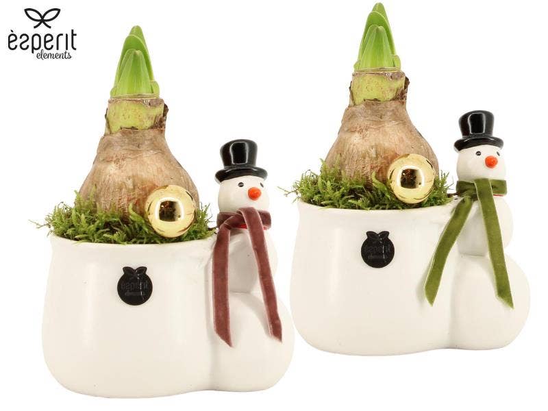 62042: X-mas arrangement