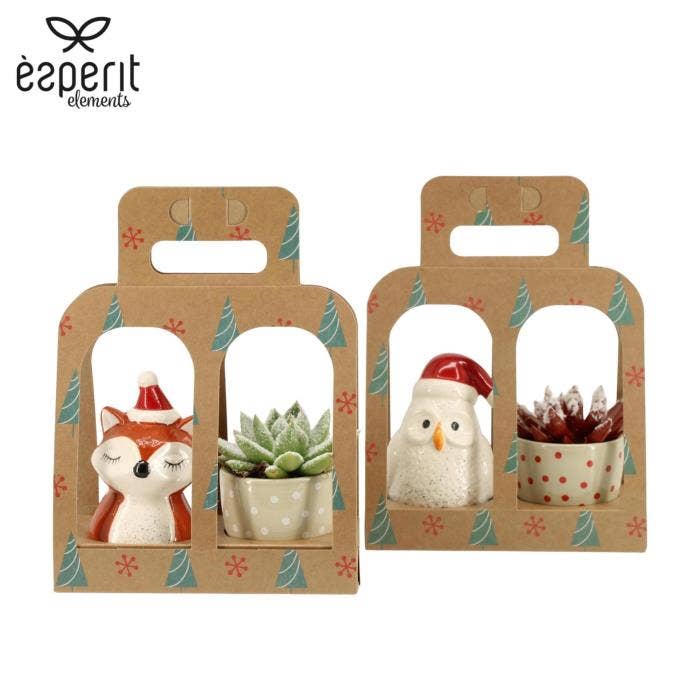 6501299: Solutionss X-mas