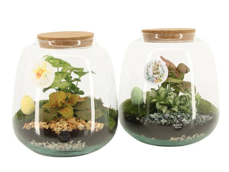 70889: Easter terrarium
