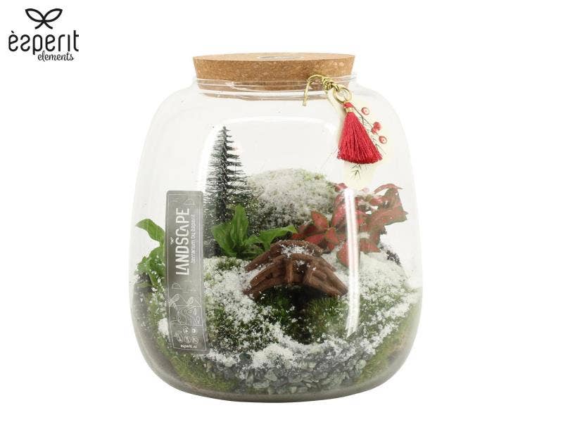 90958: X-mas Landscape terrarium arrangement