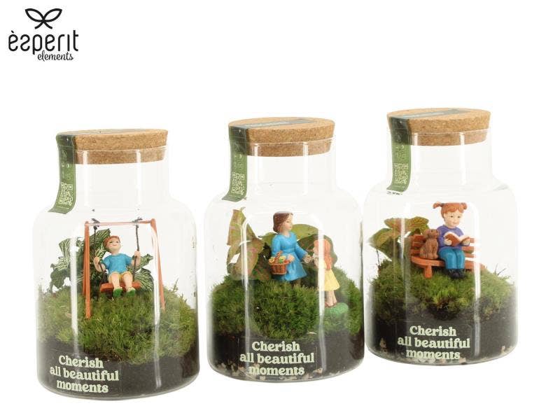 90978: Little Green Moments Terrarium