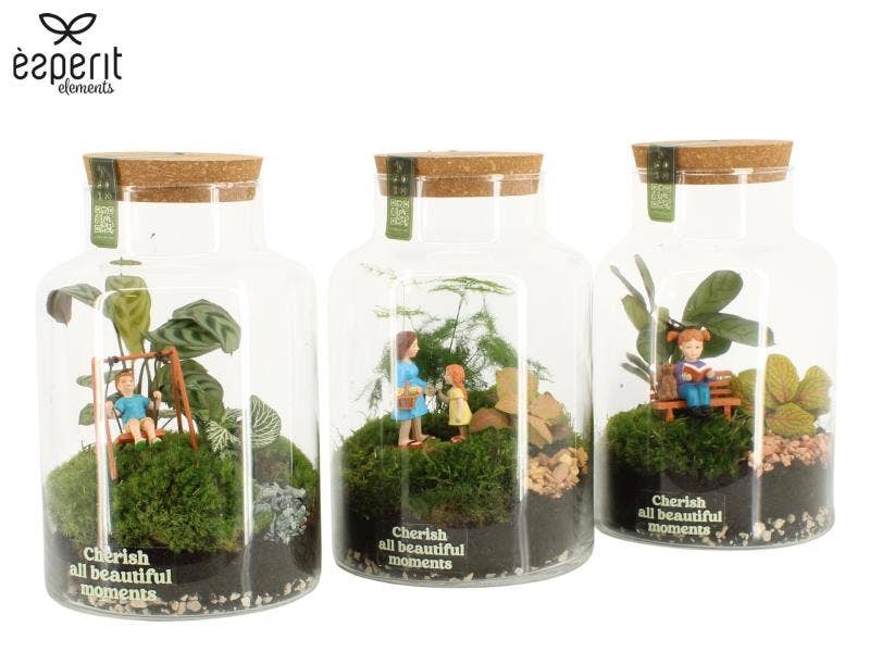 90979: Little Green Moments Terrarium