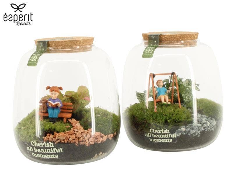 90982: Little Green Moments Terrarium