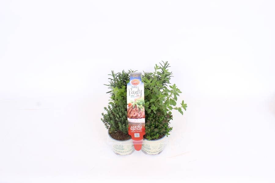 Amori e Aromi Grill Party BBQ 6-pack