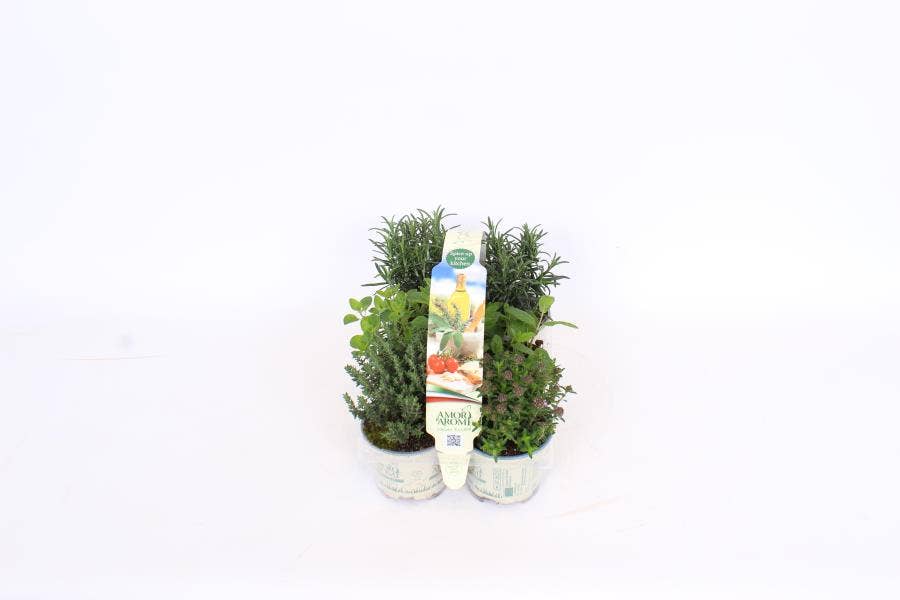 Amori e Aromi Mediterranean 6-pack