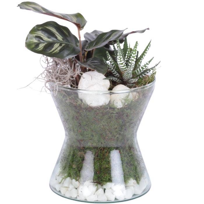 Arrangement AYR (YR613K3007-2)