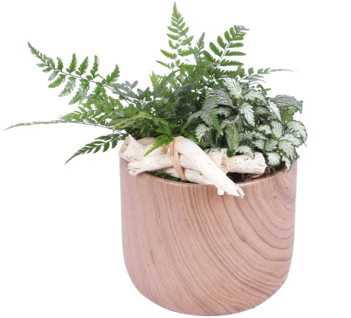 Arrangement AYR (YR614K0565)