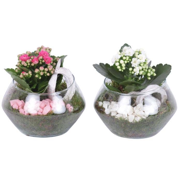 Arrangement AYR (YR615K3015)