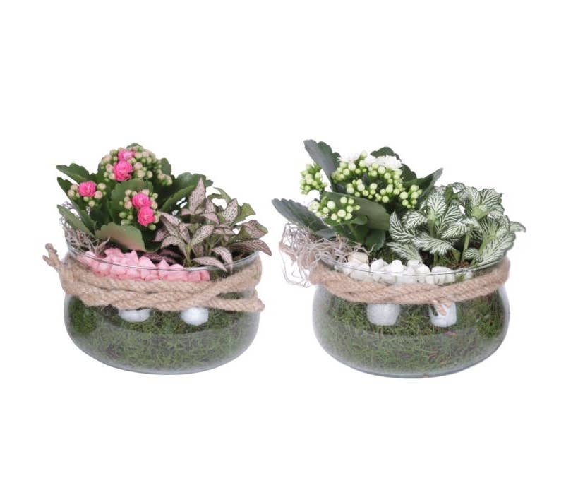 Arrangement AYR (YR616K3008)