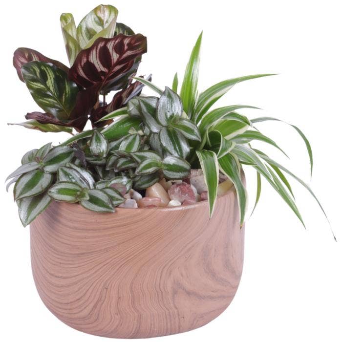 Arrangement AYR (YR617K0565-2)