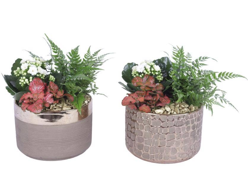 Arrangement AYR (YR617K0568)