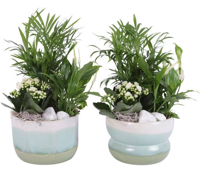 Arrangement AYR (YR617K0675)