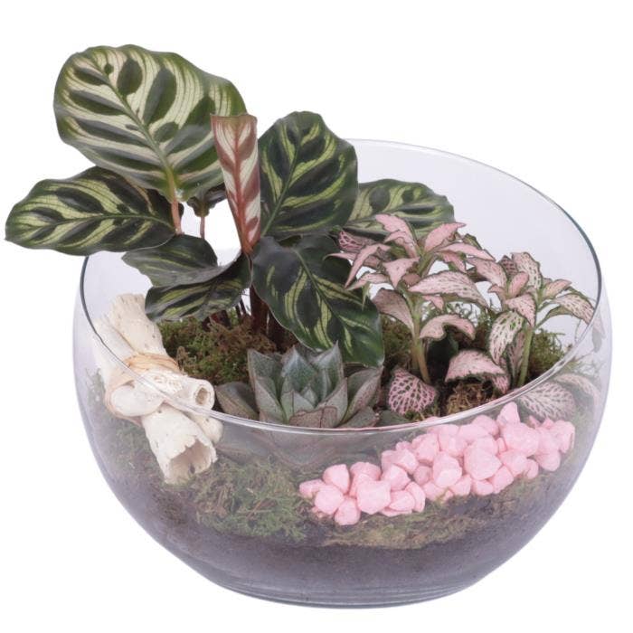 Arrangement AYR (YR620K3006-2)
