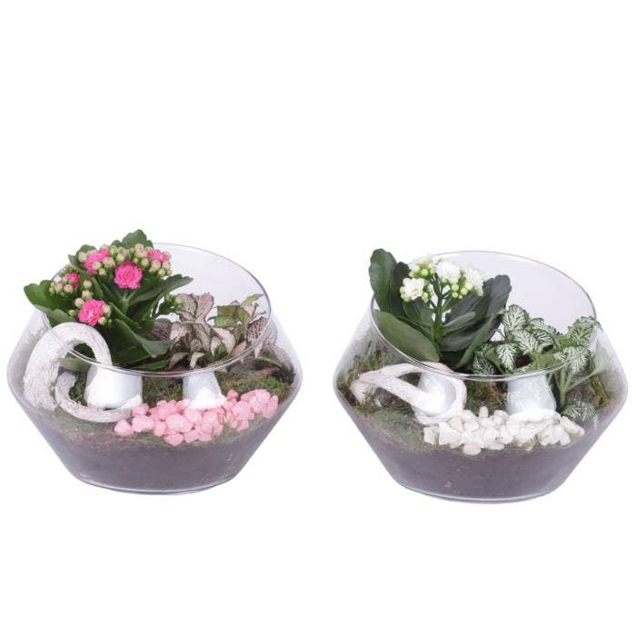 Arrangement AYR (YR620K3015)