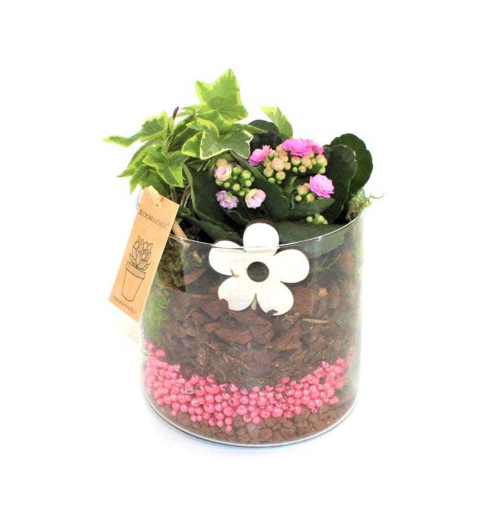 Arrangement Cilinder Pink Pearl BLW0147 