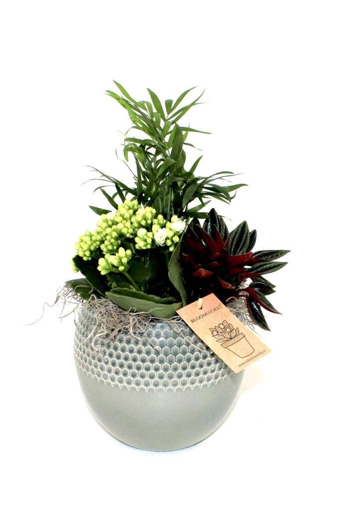 Arrangement Lisa Deco BLW0205
