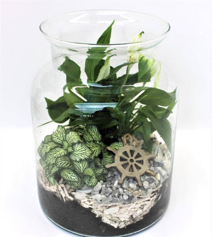 Arrangement Spathiphyllum in glass BLW0127