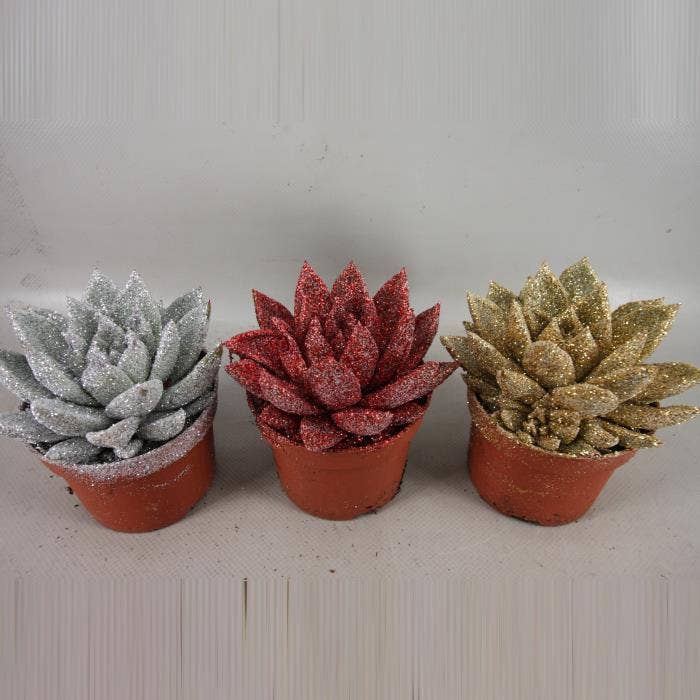 art.404 rood zilver goud BIO Twinkle glitter10,5 c