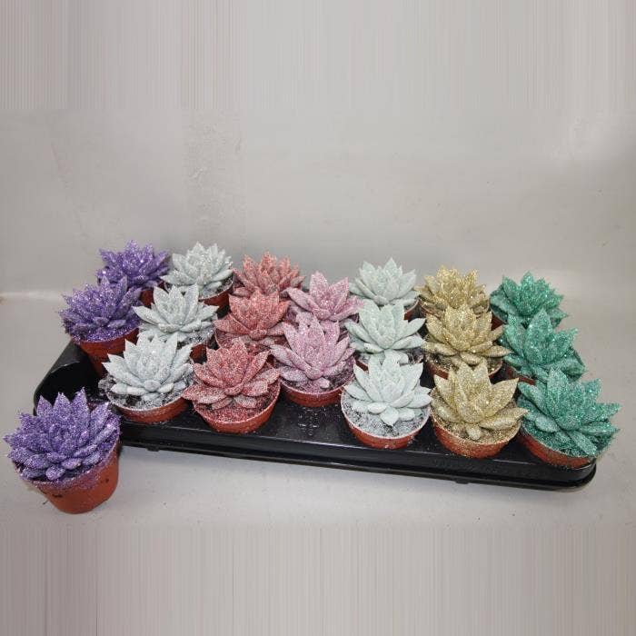 art.420 Kerstster BIO Twinkle glitter8,5 cm