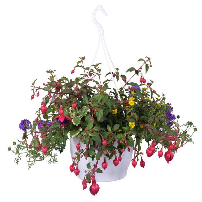 Bedding Carnaval Hanging