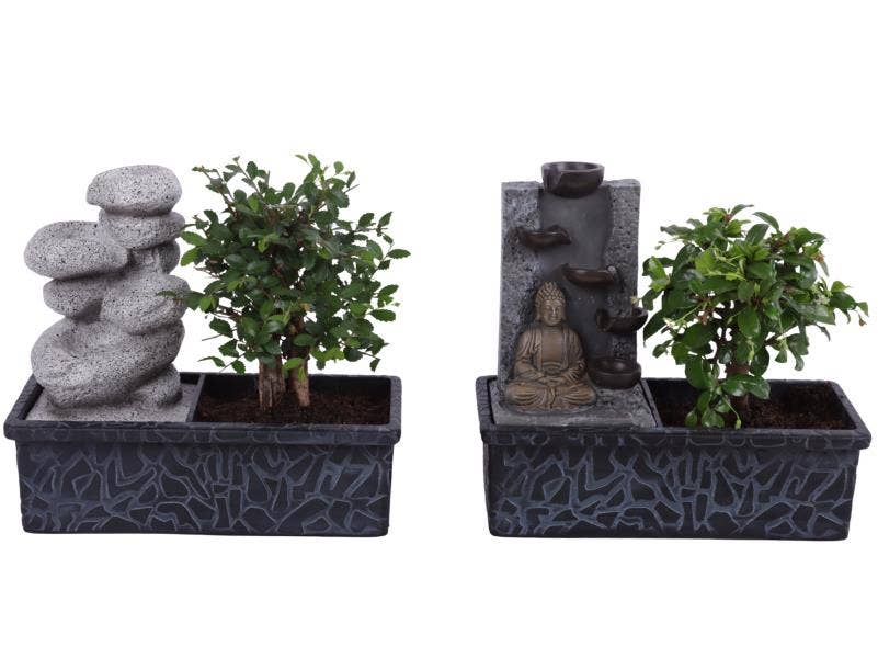 Bonsai in Zen Stone with waterfall