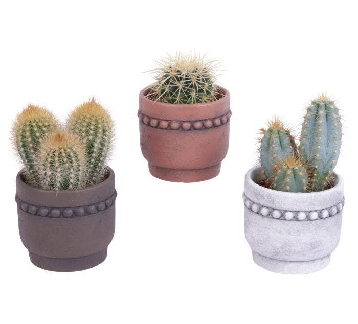 Cactus in Beads Rim