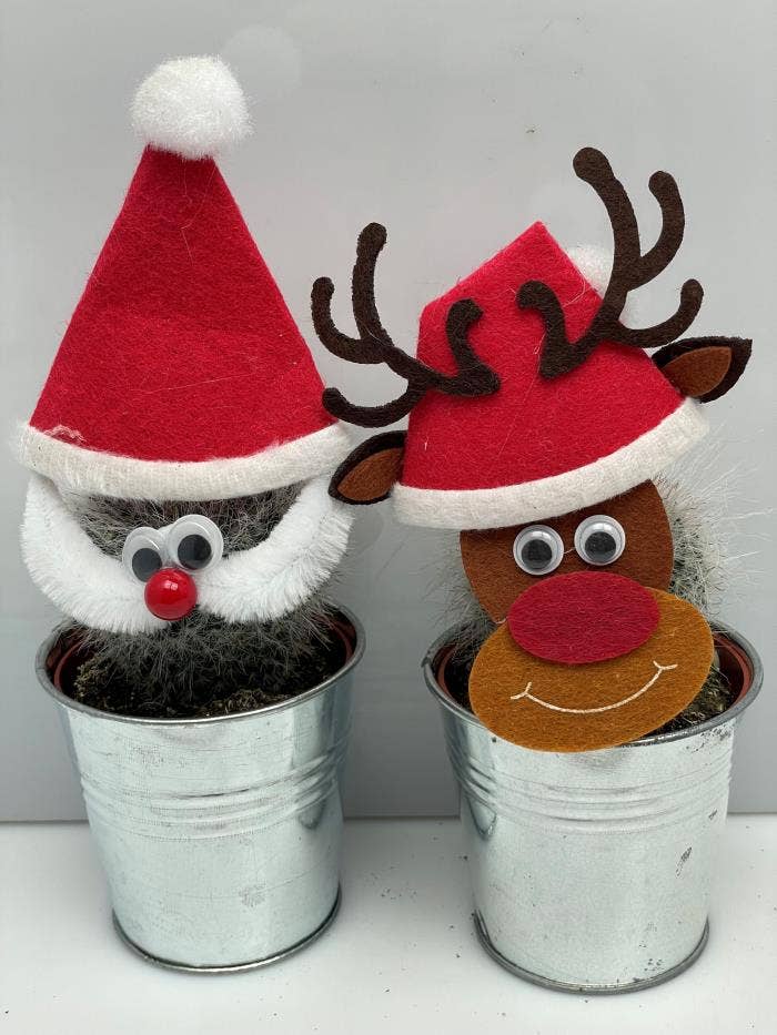 Cactus Santa  and Reindeer in Zinc