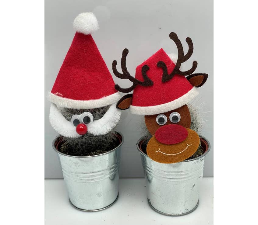 Cactus Santa  and Reindeer in Zinc