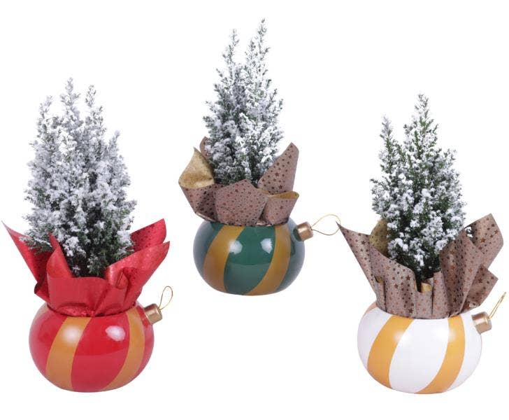 Christmas Arr. Conifer Ceramic Pot X-Mas Ornament 