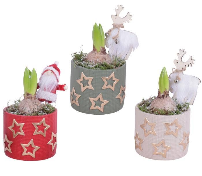 Christmas Arr. Hyacint Ceramic Pot Golden Stars Co