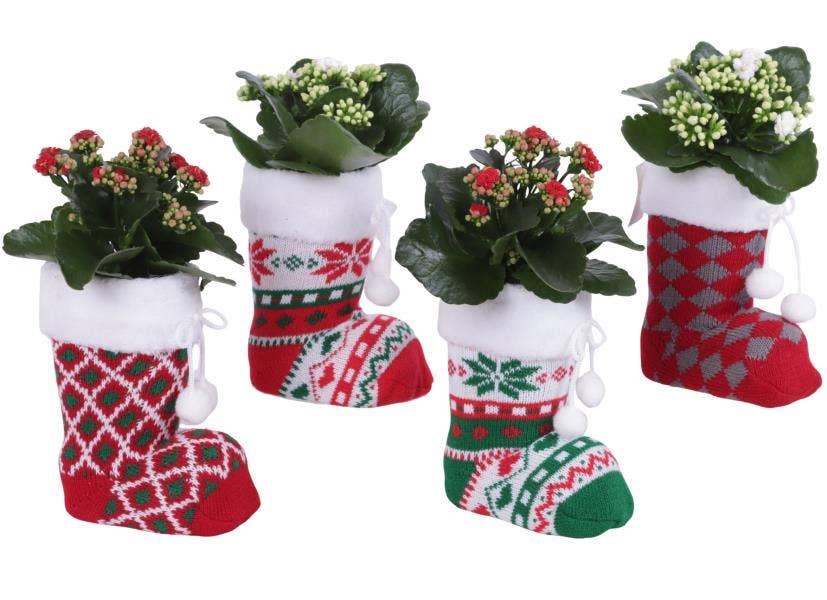 Christmas Arr. Indoor Fabric Christmas Socks Ø14cm