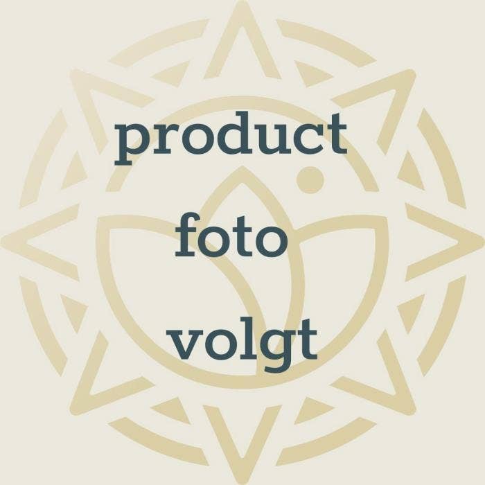 Codiaeum var. Mrs. Iceton