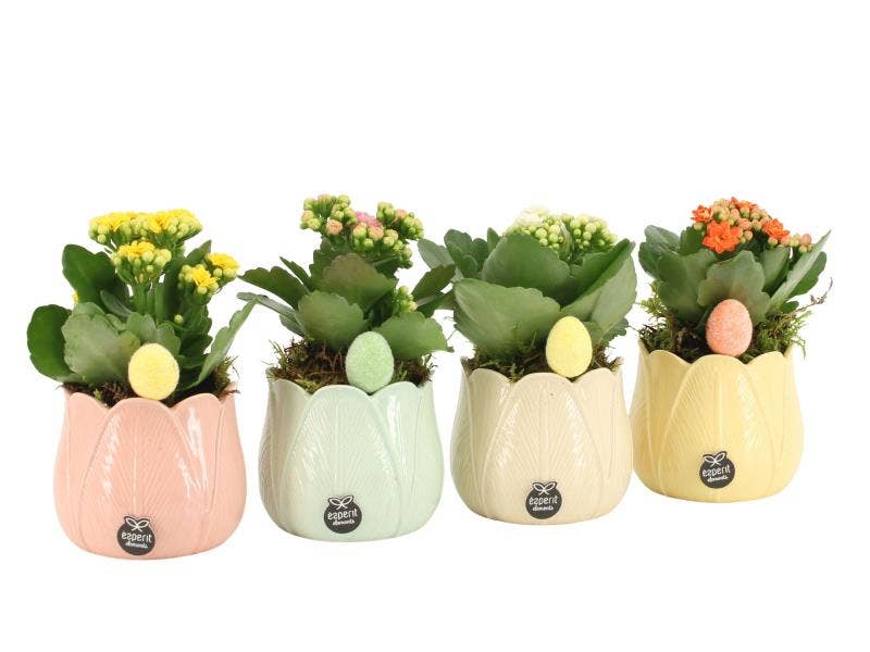 Easter arrangement (70843)