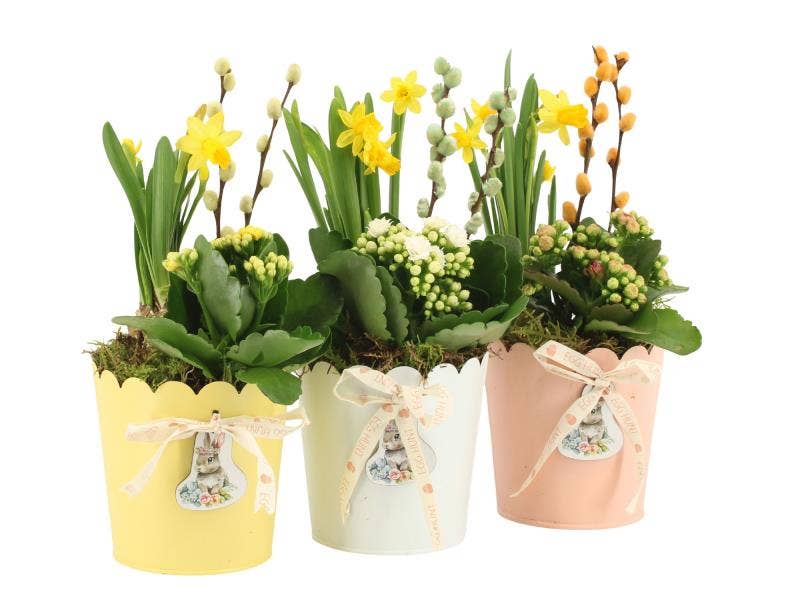 Easter arrangement (70861)
