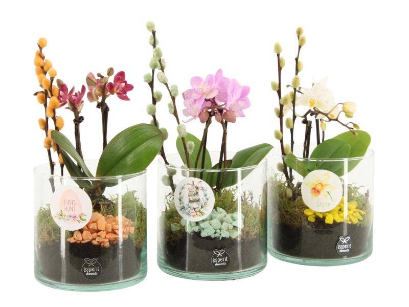 Easter arrangement (70867)