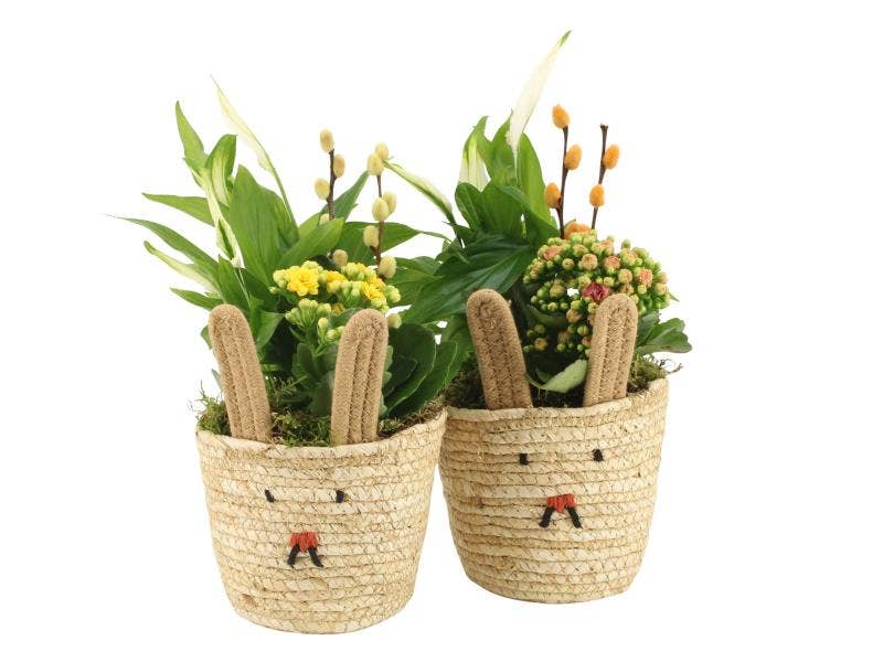 Easter arrangement (70871)