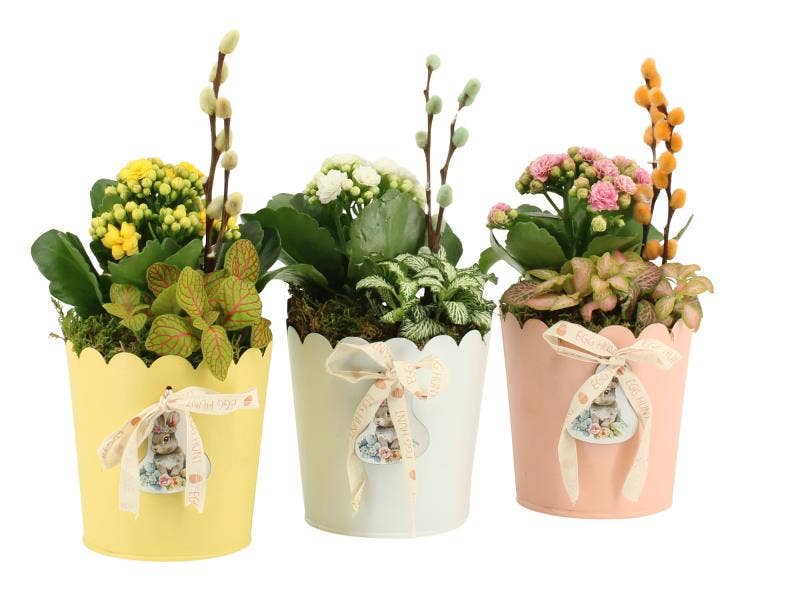 Easter arrangement (70912)