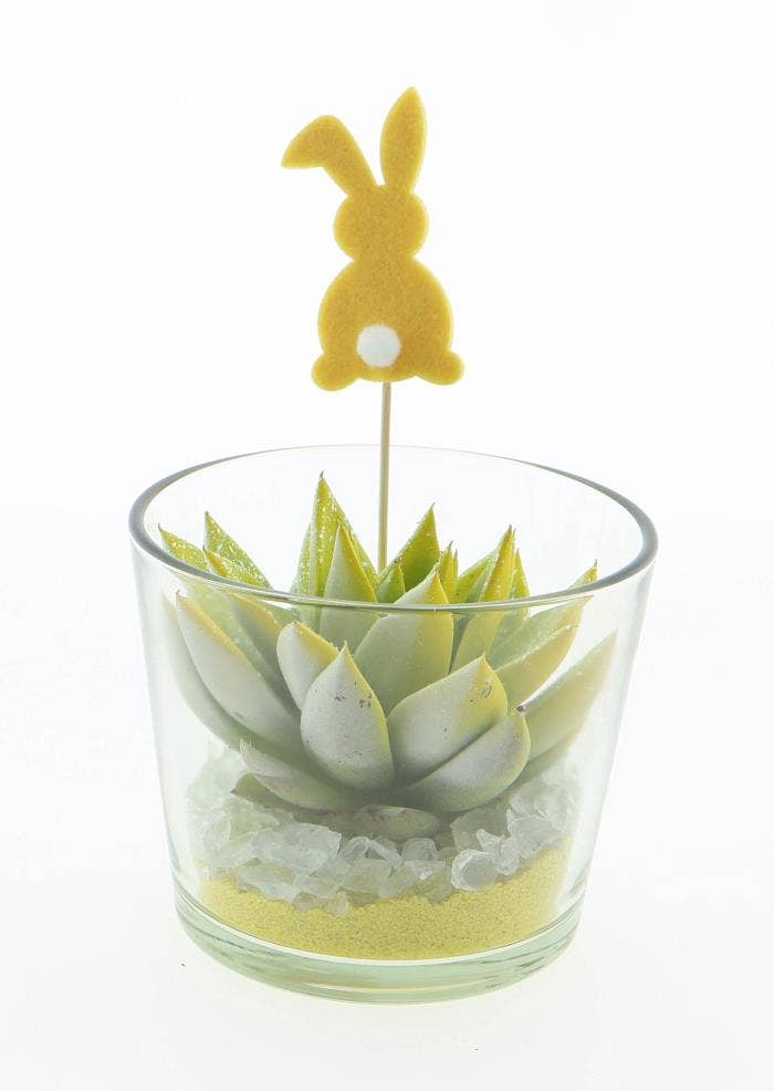 Echeveria Rainbow multi glitter in glass + bunny