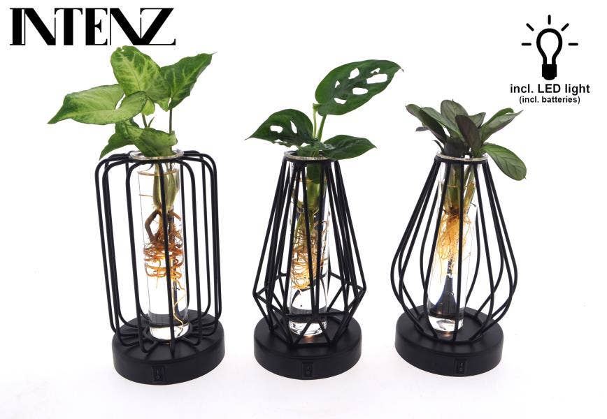 Hydroponics in Turijn glass + led