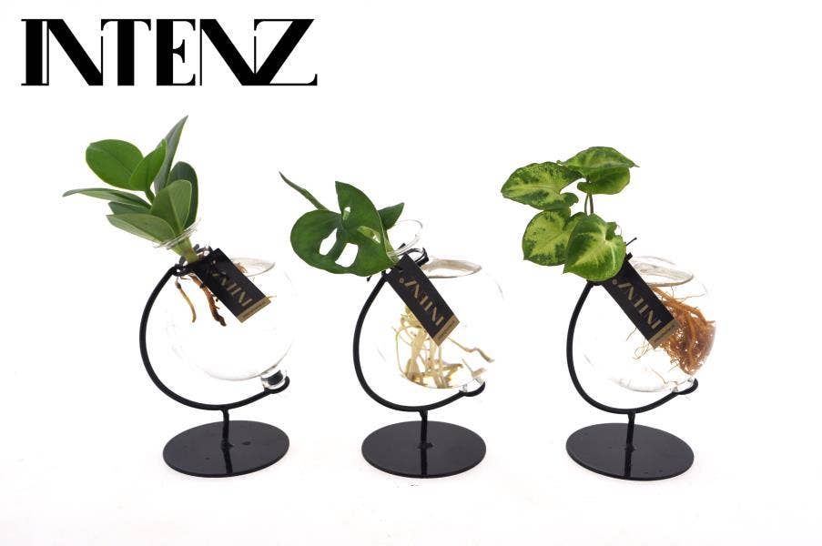 Hydroponics in Victoria glass